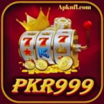 PKR 999