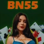 bn55 game
