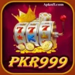 PKR 999