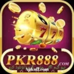 PKR888