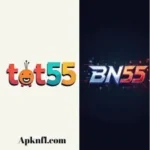 Tot55 Game vs BN55 Game