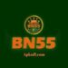 BN55