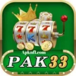 PK33 Game