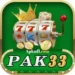 Pak33 Game