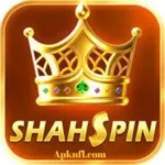 ShahSpin Game